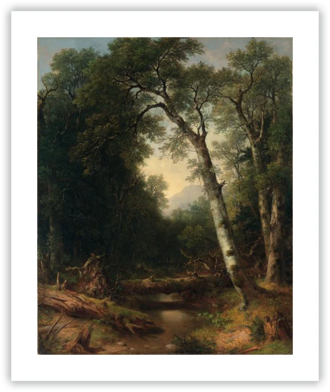 Un arroyo en el bosque - Image 14
