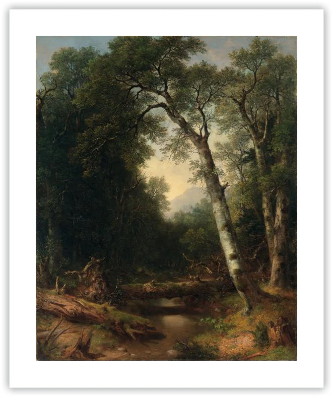 Un arroyo en el bosque - Image 19