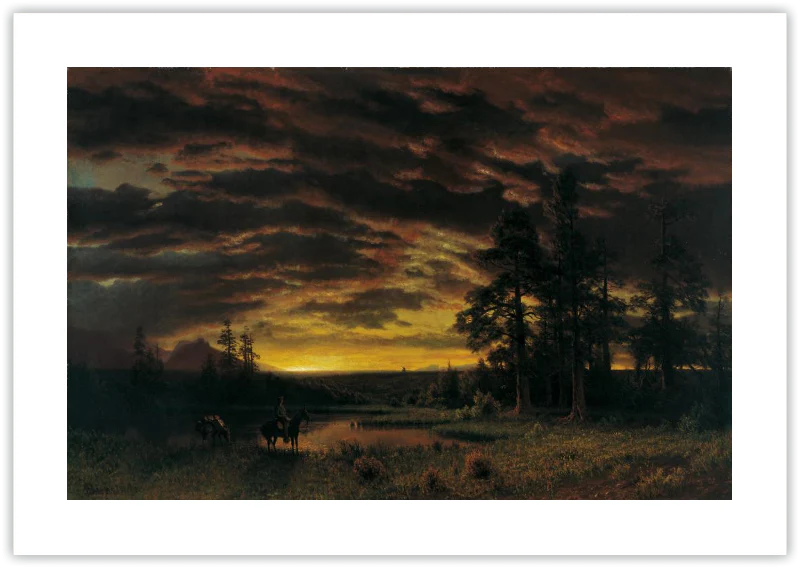Atardecer en la pradera - Image 14