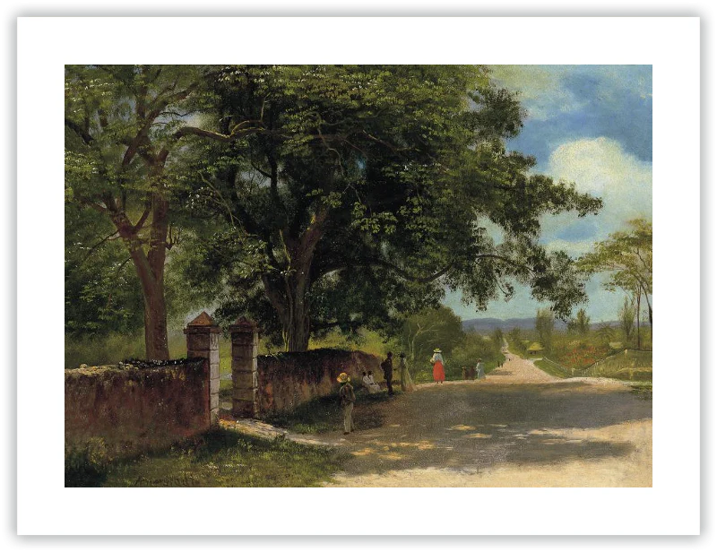 Calle en Nassau - Image 10